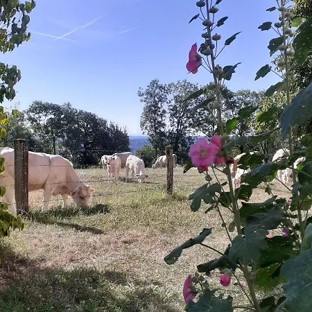 Familial Calme Avec Jardin, Wifi Et Equipements Bebe, Animaux Acceptes - Fr-1-584-92